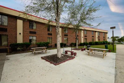 Photo 3 - Red Roof Inn & Suites Jacksonville, NC