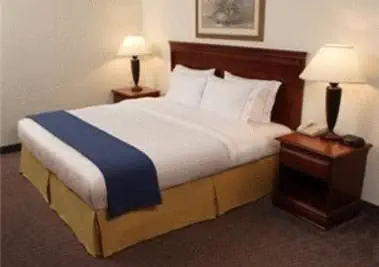 Photo 3 - Holiday Inn Express and Suites Urbandale Des Moines by IHG