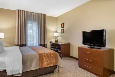 Photo 5 - Comfort Inn & Suites Suwanee - Sugarloaf