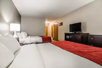 Photo 2 - Quality Suites St. Joseph