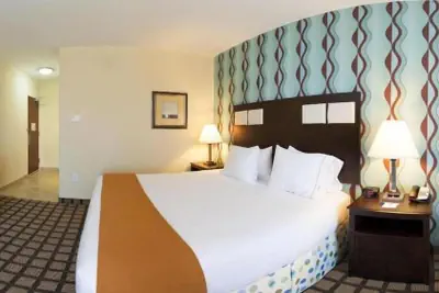 Photo 5 - Holiday Inn Express Hotel & Suites Fairburn by IHG