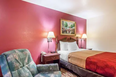 Photo 3 - Econo Lodge Dexter