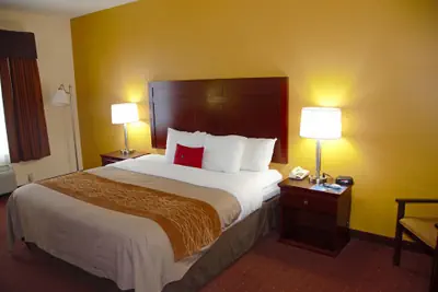 Photo 5 - Americas Best Value Inn St. Robert