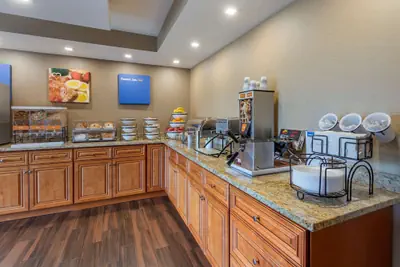 Photo 2 - Comfort Inn & Suites Rochelle - DeKalb