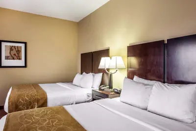 Photo 5 - Comfort Suites Waycross