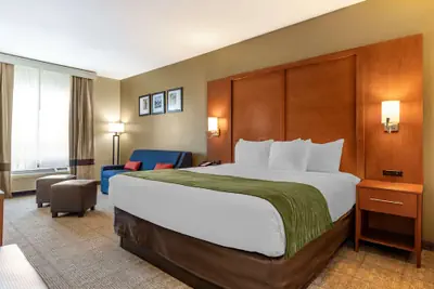 Photo 5 - Comfort Inn & Suites Orangeburg