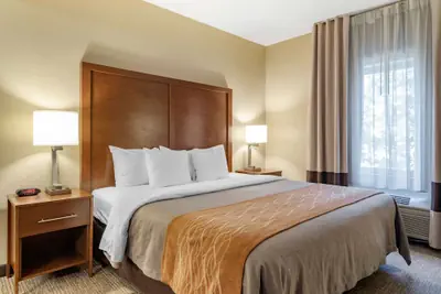 Photo 4 - Comfort Inn & Suites Suwanee - Sugarloaf