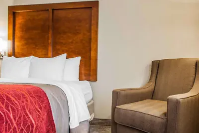 Photo 3 - Comfort Inn Marshalltown South