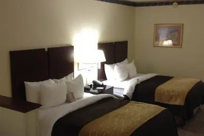 Photo 5 - Comfort Inn & Suites Ft. Jackson Maingate