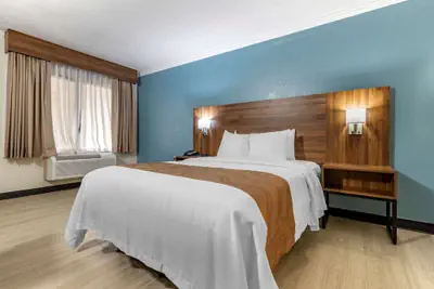 Photo 4 - Quality Inn & Suites Ft. Jackson Maingate