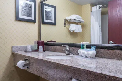 Photo 2 - Holiday Inn Express & Suites Roanoke Rapids SE by IHG