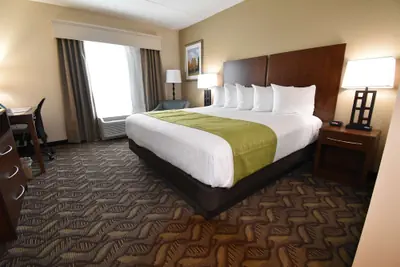 Photo 2 - Best Western Athens