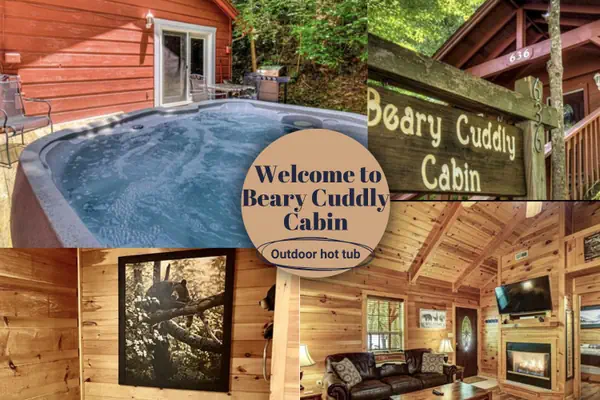 Photo 1 - Beary Cuddly