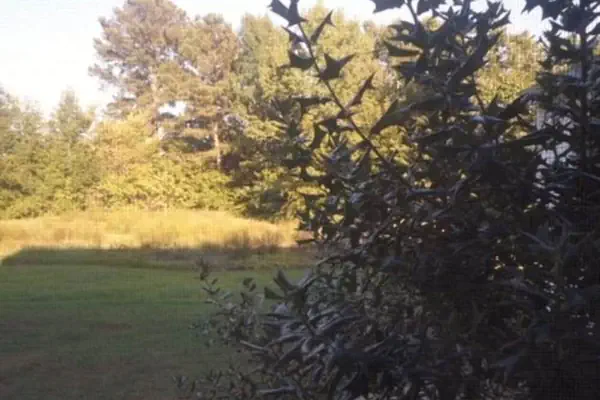 Photo 1 - The Teacherage