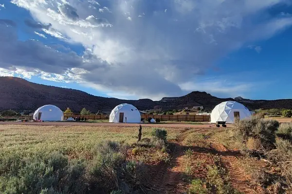 Photo 1 - White Camel