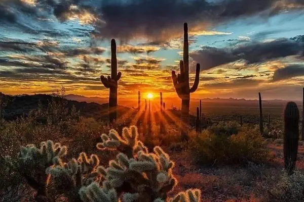 Photo 1 - Beck Lane Scottsdale