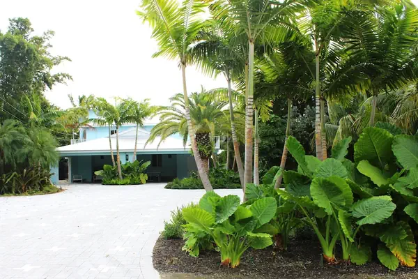 Photo 1 - Midnight Runner in Islamorada