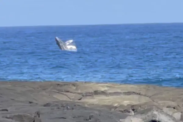 Photo 1 - Ala Kai Bed & Breakfast