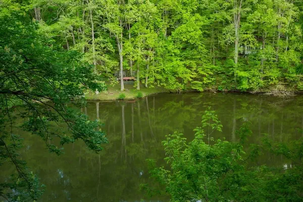 Photo 1 - Lakefront-nestled in Nirvana