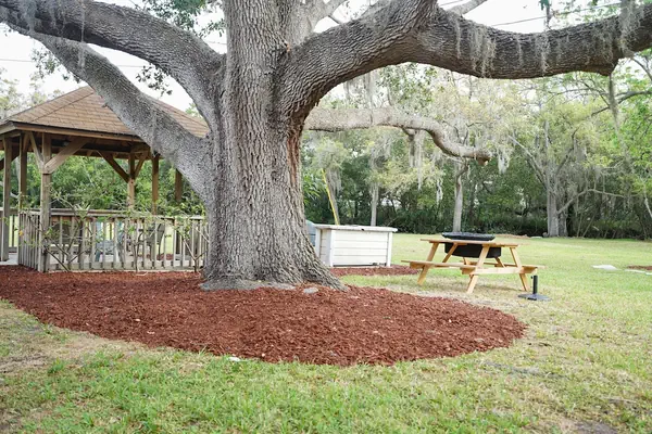 Photo 1 - Mar Bay Motel &Suites