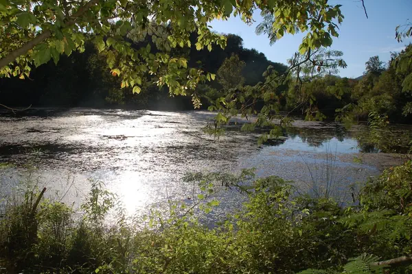 Photo 1 - Creekwalk Inn and Cabins