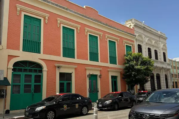 Photo 1 - Gladiolas 1103