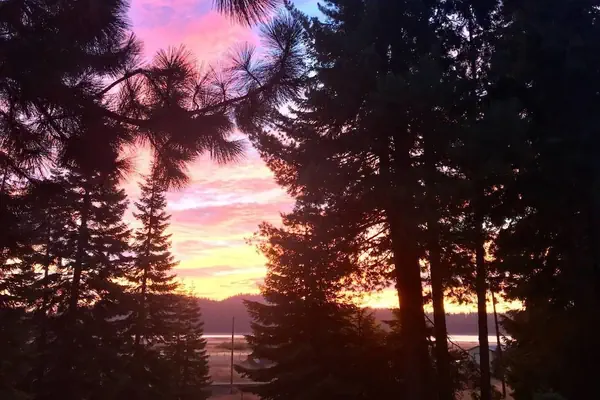 Photo 1 - Mountain Pine Cabin - Sleeps 6 - Pet Friendly