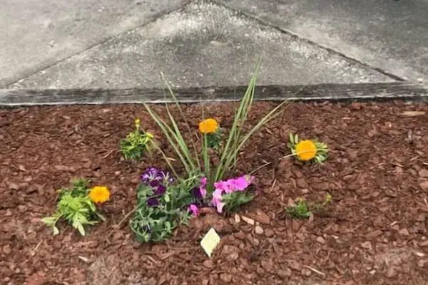 Photo 1 - Riviera Motor Lodge