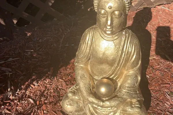 Photo 1 - Log Cabin in the Field