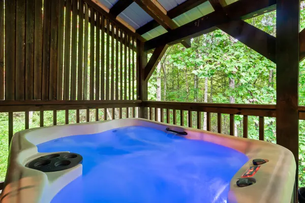 Photo 1 - Pool Table~Hot Tub~3 Miles Gburg Arts and Crafts