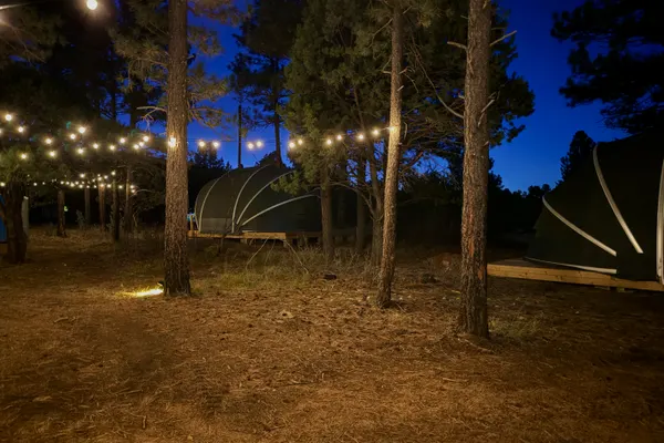 Photo 1 - Sleep Under Frosty Skies, Mountain Style