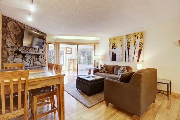 Photo 1 - Pet-friendly Very Spacious Condo - BE108