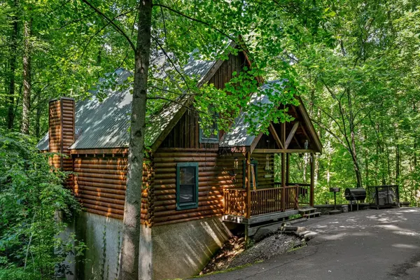 Photo 1 - Forest Fling