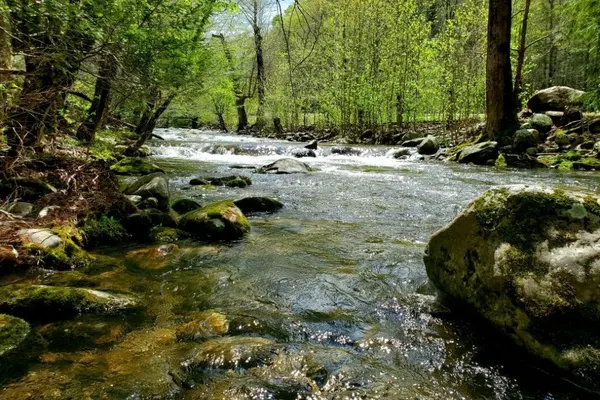 Photo 1 - Elk Run On Cosby Creek