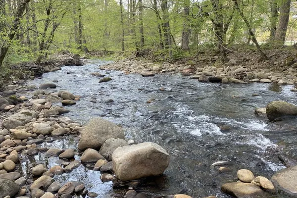 Photo 1 - Home Sweet Home on Cosby Creek