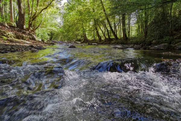 Photo 1 - Whispering Creek