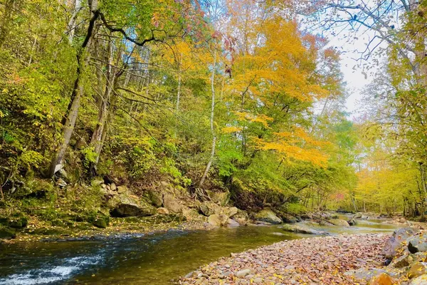 Photo 1 - Whispering Creek