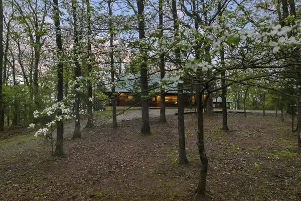 Photo 1 - Lacey Dogwood Family Cabin with Free WiFi and Private BBQ