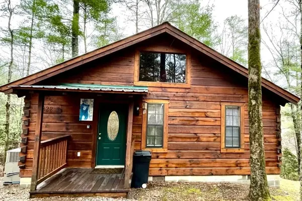 Photo 1 - Crazy Bear, Studio, King Bed, Kitchen, Hot Tub!