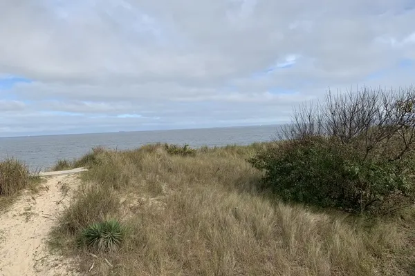 Photo 1 - Sandy Dunes at the Beach - Beachfront, Wi-Fi, Pets