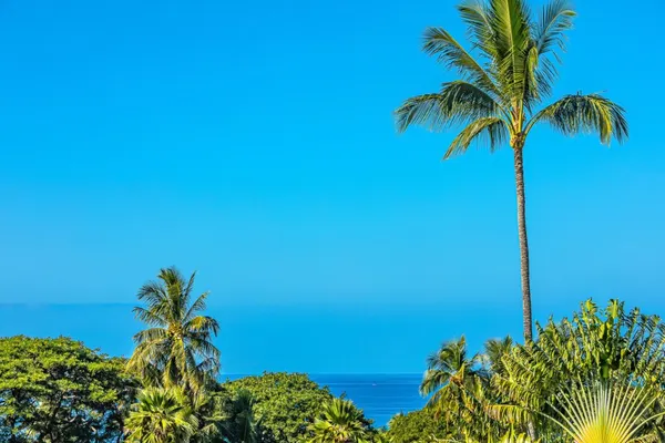 Photo 1 - Palms at Wailea 2206