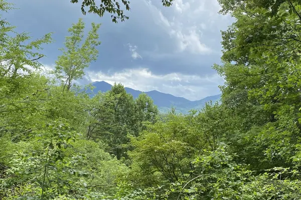 Photo 1 - Deep Creek Overlook