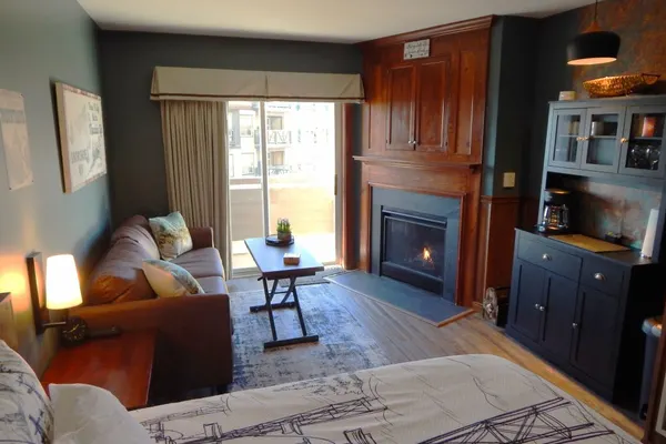 Photo 1 - Front Row Studio! - Allegheny Springs #114