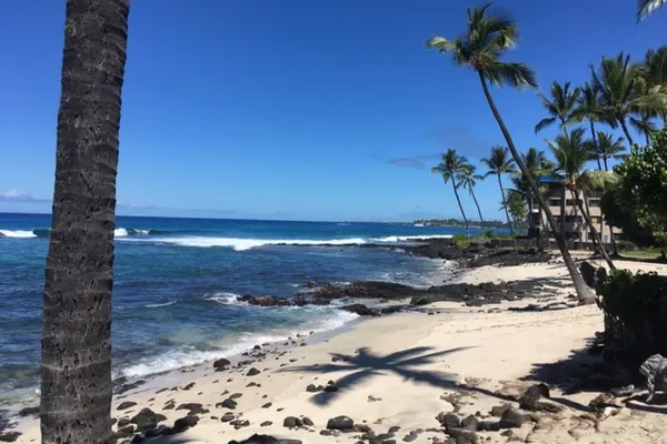 Photo 1 - Kona Reef#B15