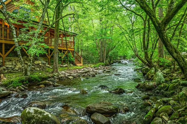 Photo 1 - Elk Rapids on Cosby Creek