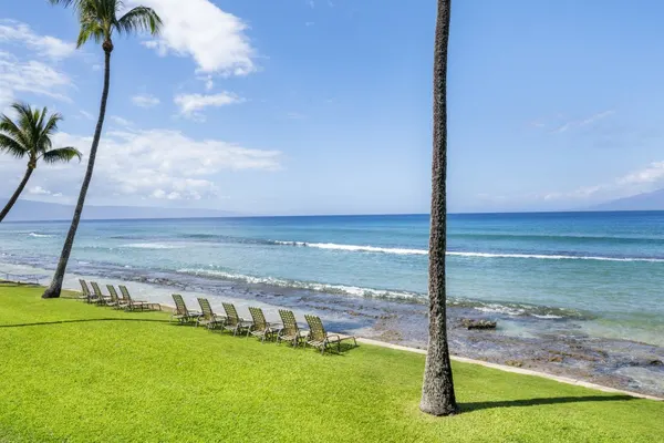 Photo 1 - Paki Maui #103