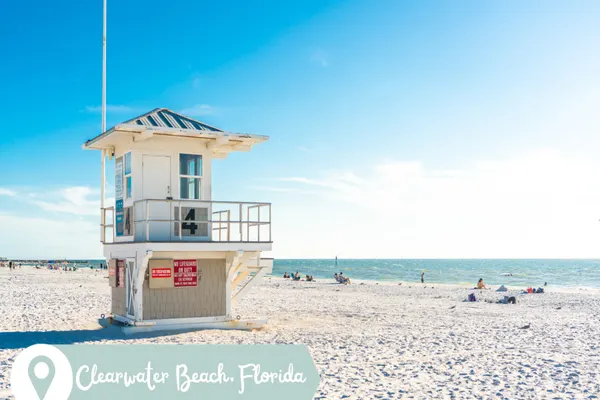 Photo 1 - Indigo Beach Oasis - Minutes to Clearwater Beach!