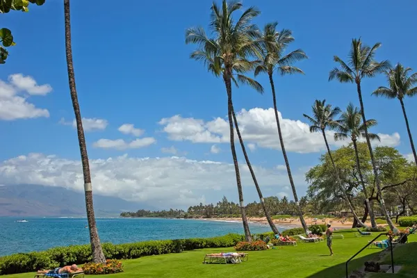 Photo 1 - Royal Mauian 314