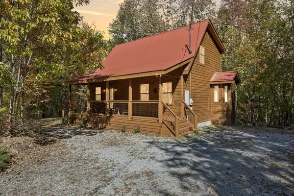 Photo 1 - The Wild Life