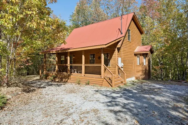 Photo 1 - The Wild Life